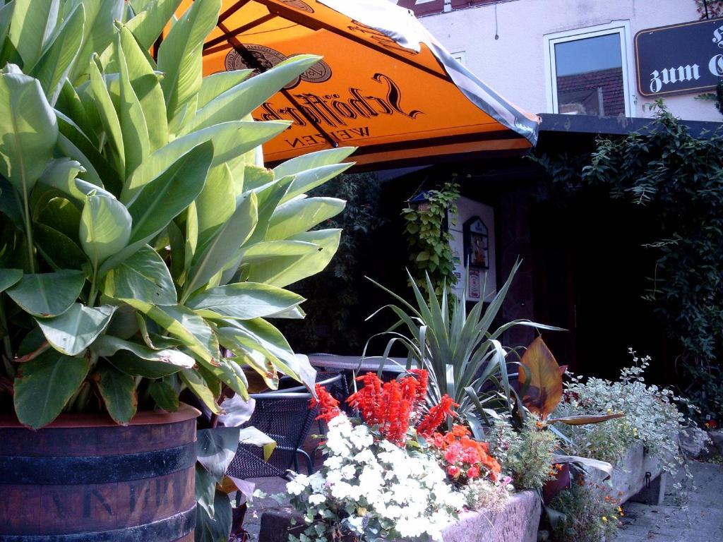Fritz'Es Goldener Stern Hotel Schauenburg Exterior foto